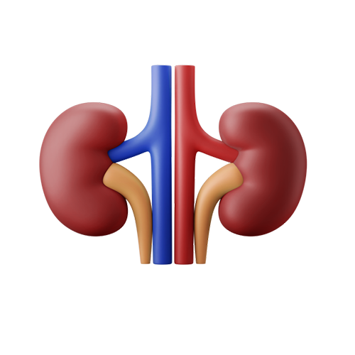 Kidney Disease Meals