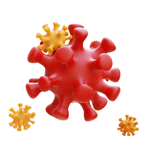 infection diet meals